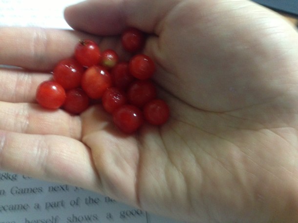 I eated the red berries