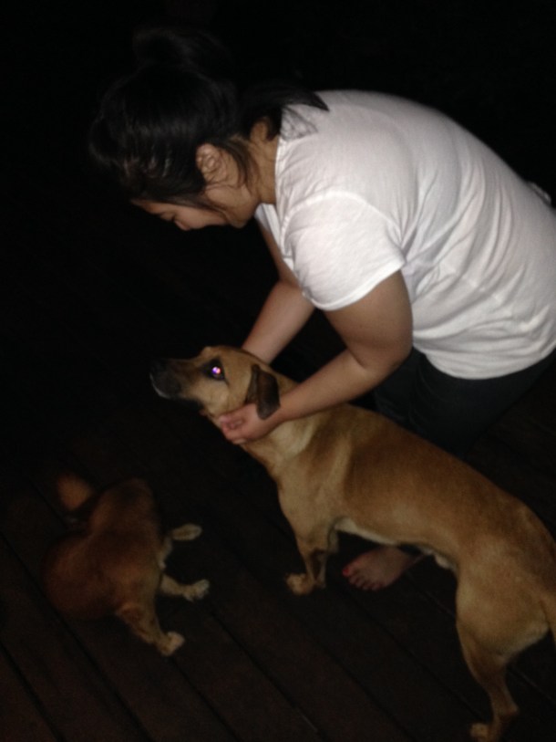 So friendly at night.