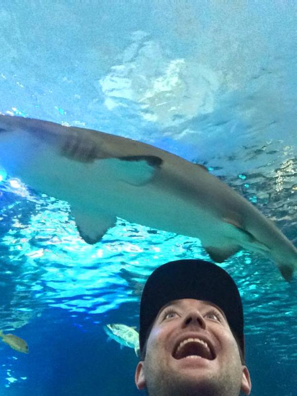 11695737_10105957338243269_4334976029450824065_n